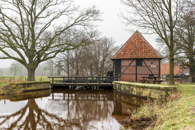 Oeler molen met brug en boom